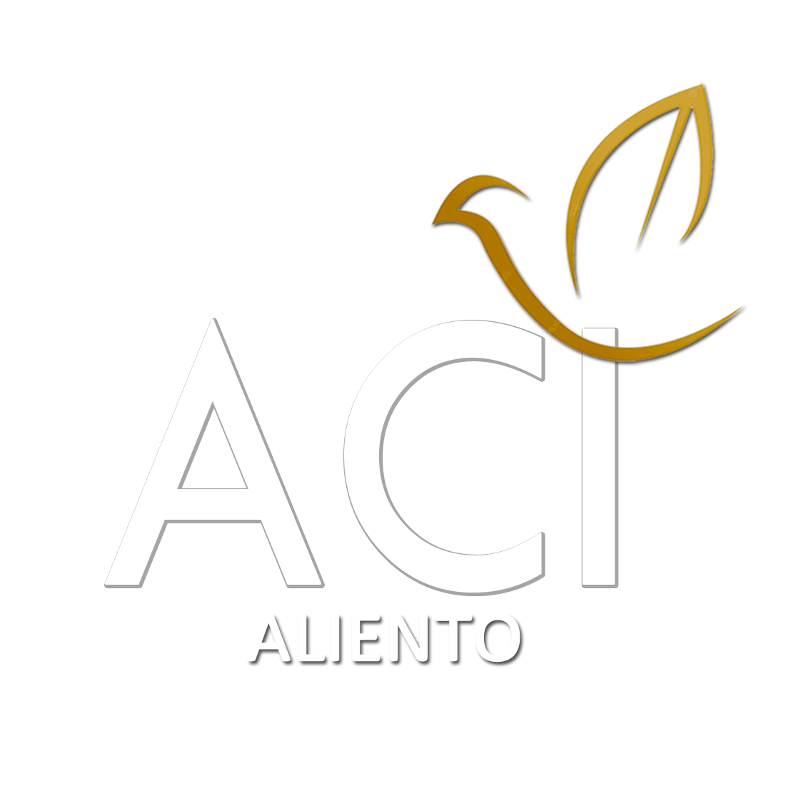 Grupo ACI logo